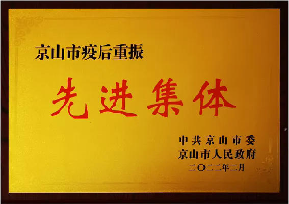 疫后重振先進(jìn)集體